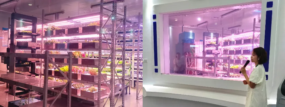 部门动态